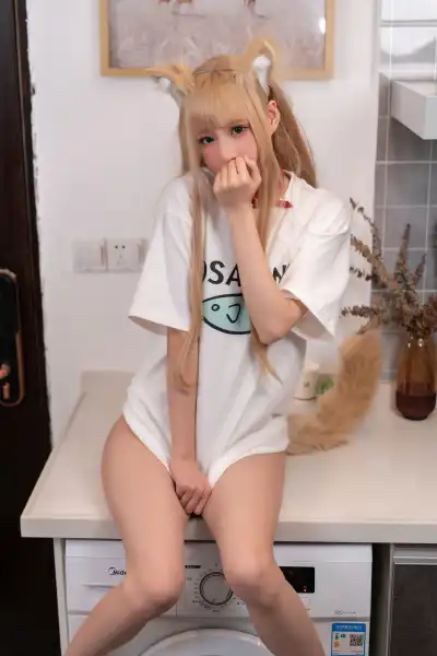 黄豆粉养猫日常