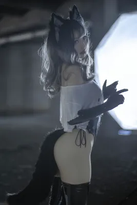 驯养