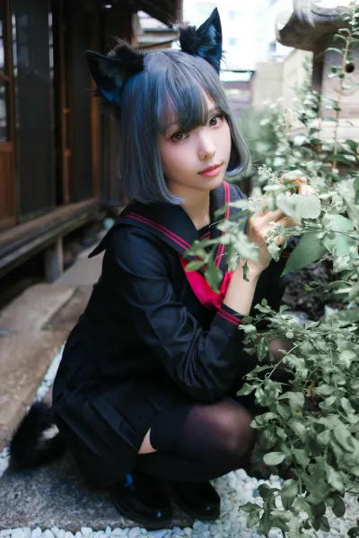 24年04月 Patreon 订阅