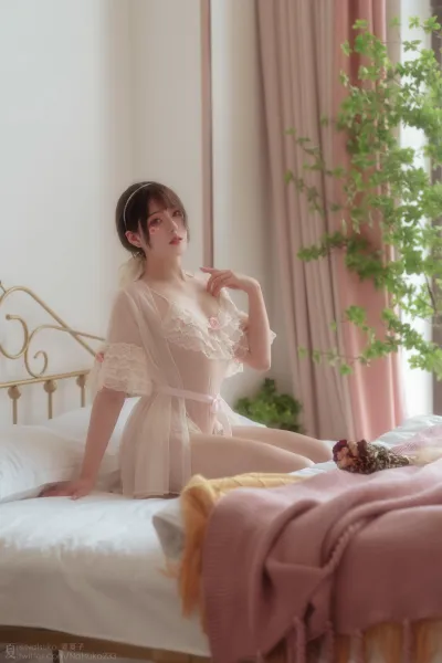 雏菊