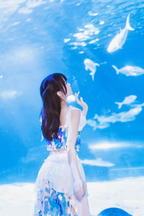 桜桃喵-水族馆