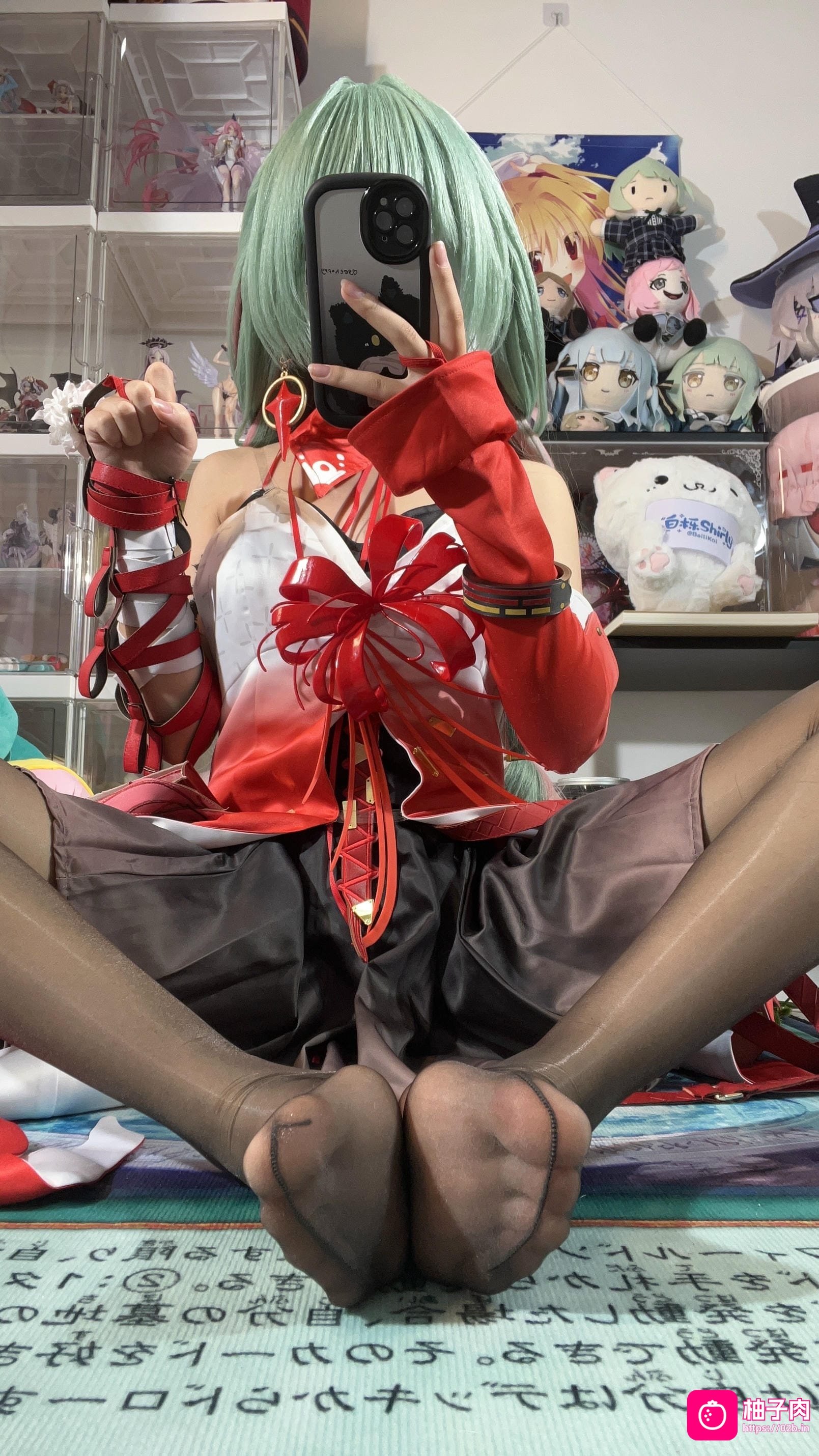 鸣潮 弗洛洛 [130P25V-6.98GB]