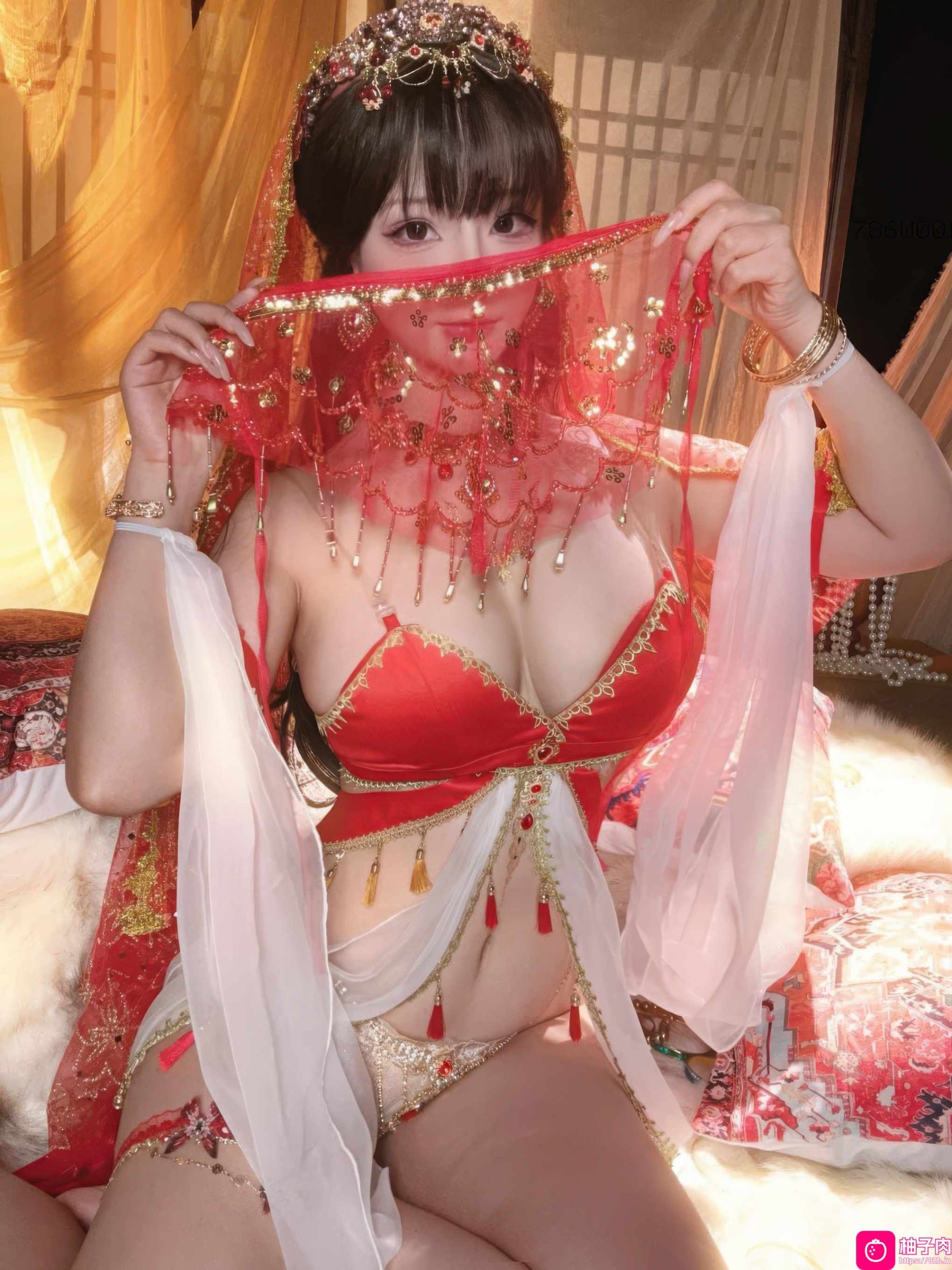 红宝石 [45P1V-455MB]
