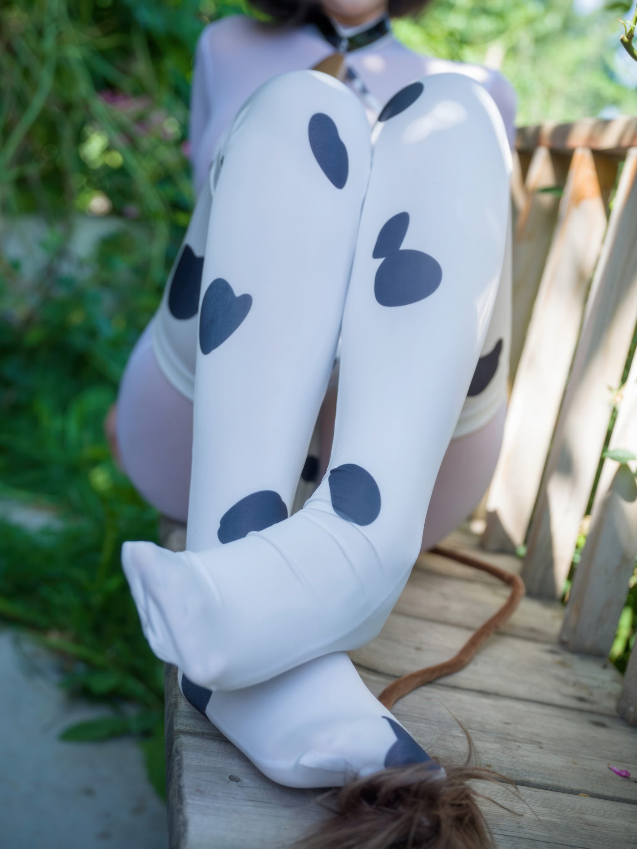 汇汇乳业