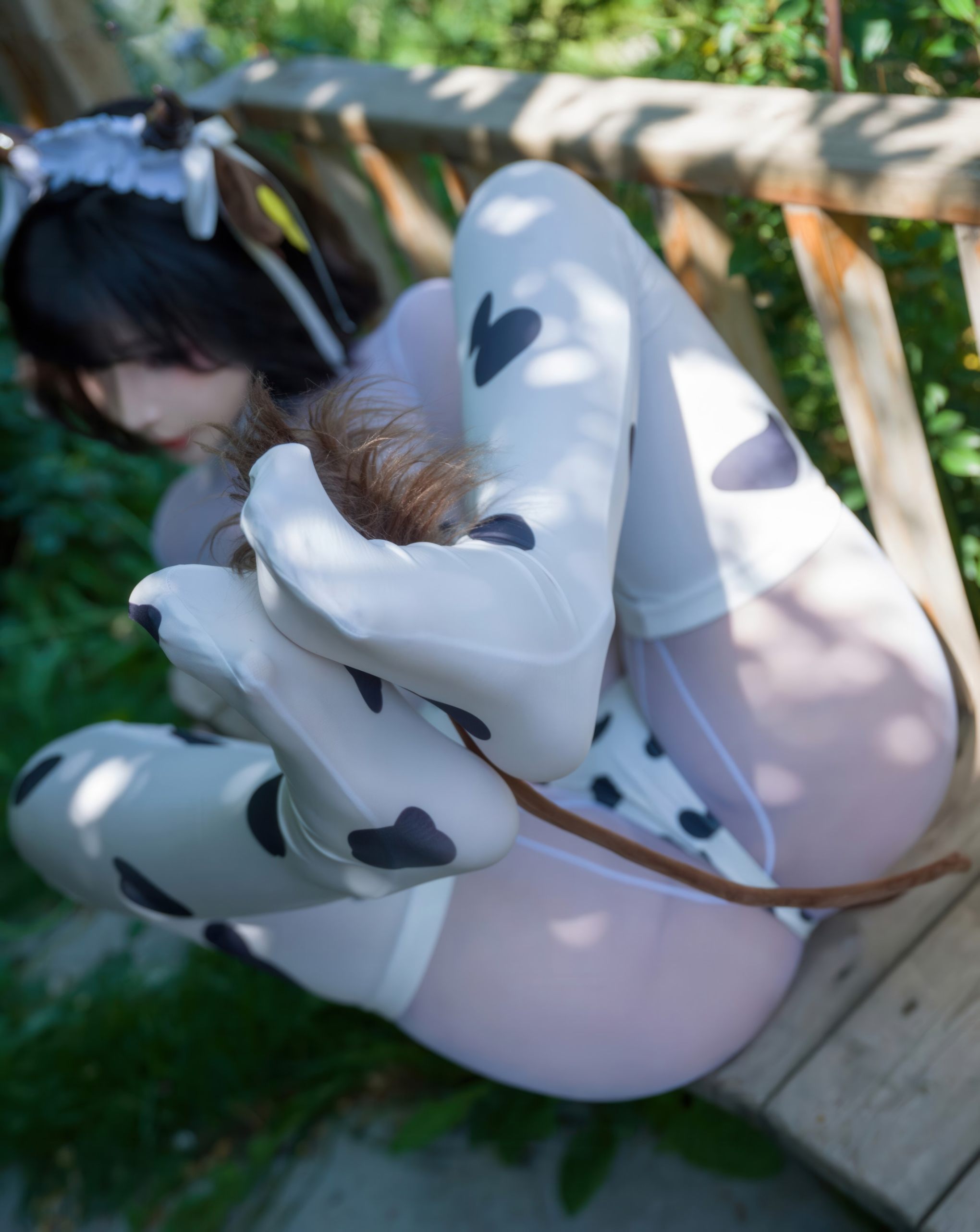 汇汇乳业