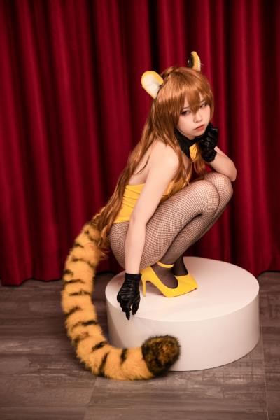 G44不会受伤 龙与虎 逢坂大河 虎虎出虎虎 [36P-335MB] Cosplay写真第 23 张
