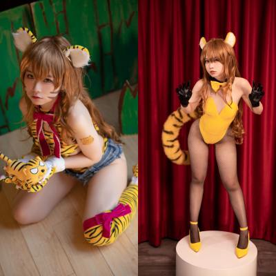 G44不会受伤 龙与虎 逢坂大河 虎虎出虎虎 [36P-335MB] Cosplay写真第 1 张