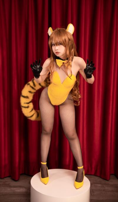 G44不会受伤 龙与虎 逢坂大河 虎虎出虎虎 [36P-335MB] Cosplay写真第 18 张