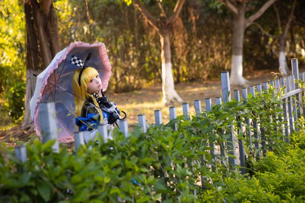 G44不会受伤 多娜多娜 爱丽丝 [35P-406MB] Cosplay写真第 2 张