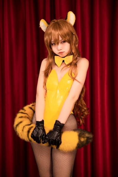 G44不会受伤 龙与虎 逢坂大河 虎虎出虎虎 [36P-335MB] Cosplay写真第 20 张