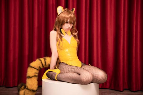 G44不会受伤 龙与虎 逢坂大河 虎虎出虎虎 [36P-335MB] Cosplay写真第 30 张